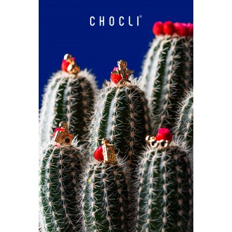 Ciondolo CHOCLI Viaggio - Macchina Fotografica Ciondolo CHOCLI Viaggio - Macchina Fotografica